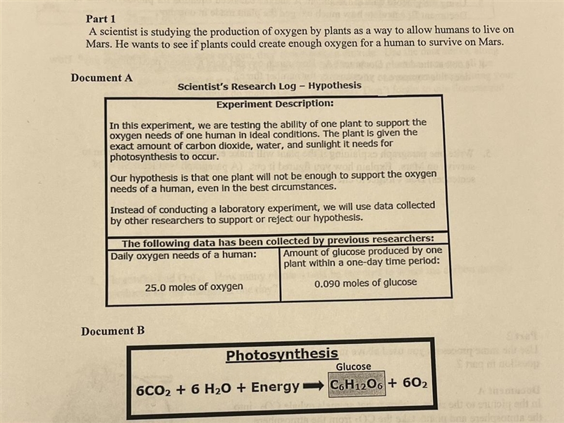 Write one paragraph explaining if the plant will make enough oxygen for a human tosurvive-example-1