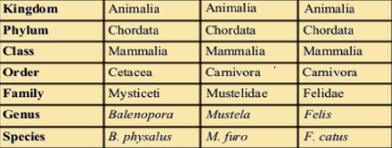 Use the chart below to answer the question. Answer correctly. Which species are more-example-1