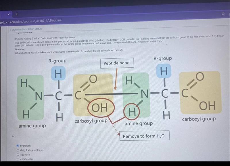 What chemical reaction takes place when removed from bond( as shown above)?-example-1