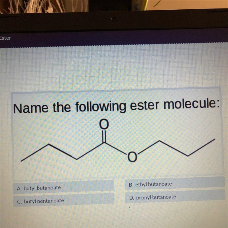 Name the following ester molecule:OA. butyl butanoateB. ethyl butanoateC. butyl pentanoateD-example-1