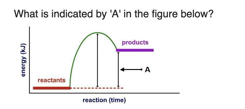 What is indicated by 'A' in the figure below?A. +VEB. +EaC. -VED. -Ea-example-1