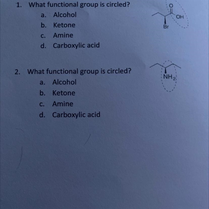 1. What functional group is circled?a. Alcoholb. KetoneC. Amined. Carboxylic acid-example-1