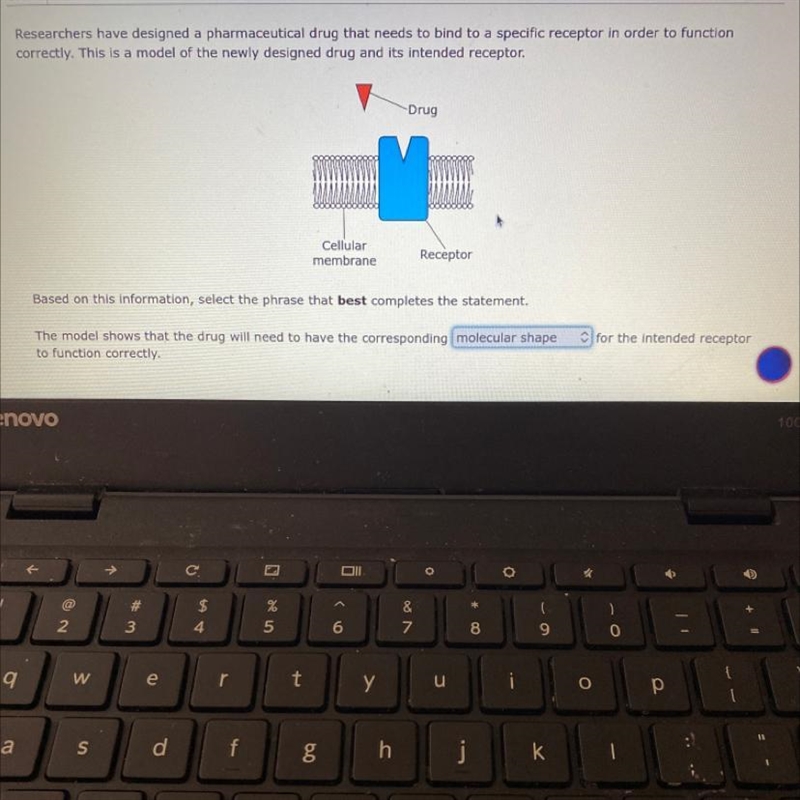 I need help asap asapmolecular shape activation energymolecular weightchemical formula-example-1