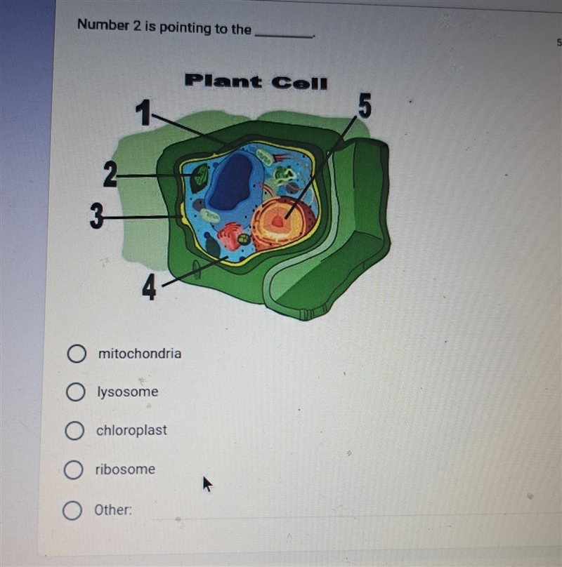 HELP PLEASE!!! i dont know the answer​-example-1