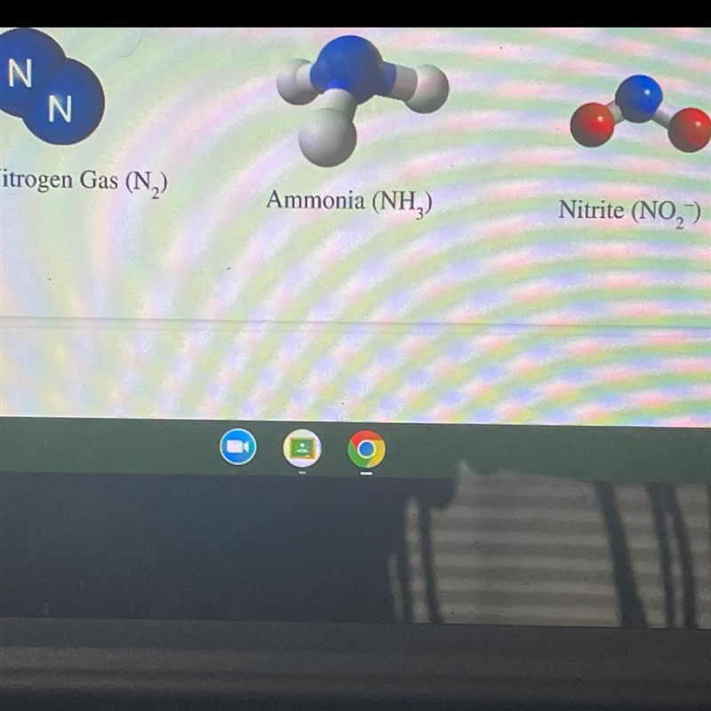 Is this ammonia a polar or non polar molecule-example-1