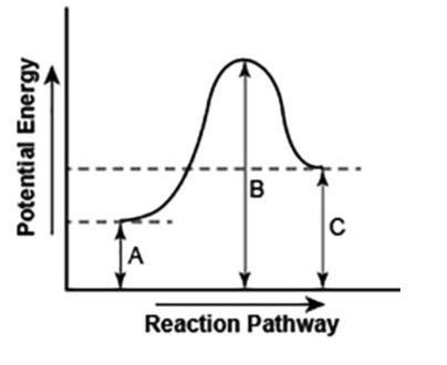 Describe how you can determine the total change in enthalpy and activation energy-example-1