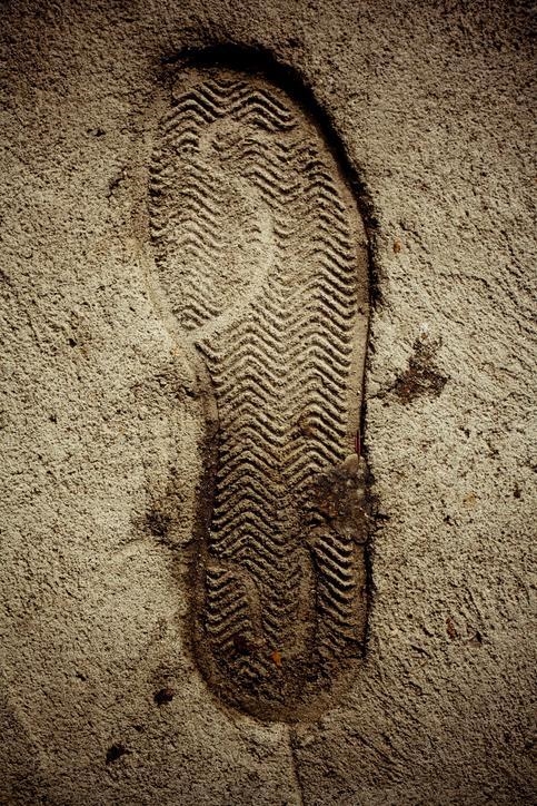 What type of evidence does this image BEST represent? An imprint of a shoe sole on-example-1