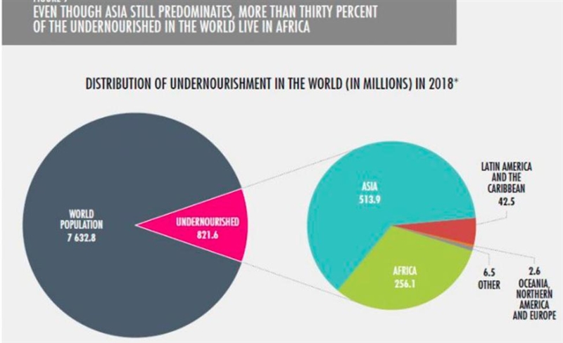 How many people were considered undernourished in Latin America and the Caribbean-example-1