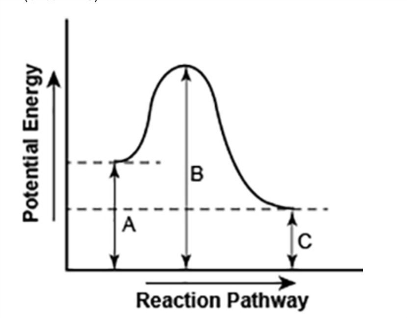 Part 1: Looking at the diagram above, what can you tell me about the type of reaction-example-1