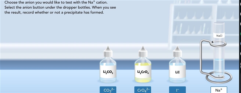 Can you help me with this, please?which anion will form a precipitate with Na+?-example-1