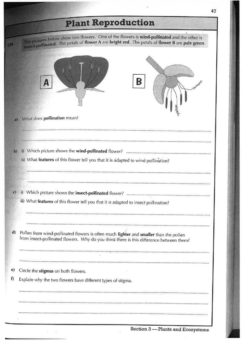 Plant reproduction. Answer as much as possible, thanks!-example-1