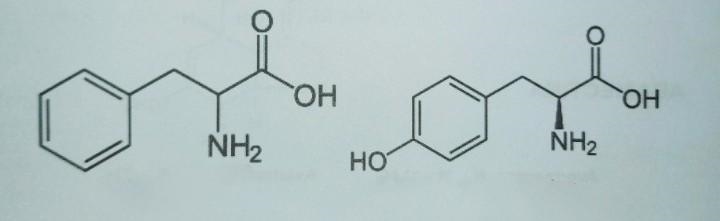 Numerous compounds present in nature have isometries. An example of this are amino-example-1