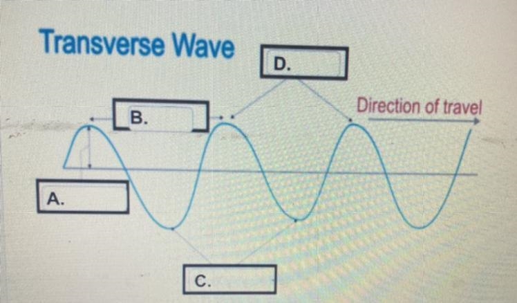 Which letter indicates wavelength based on the photo? A,b,c, or D?-example-1