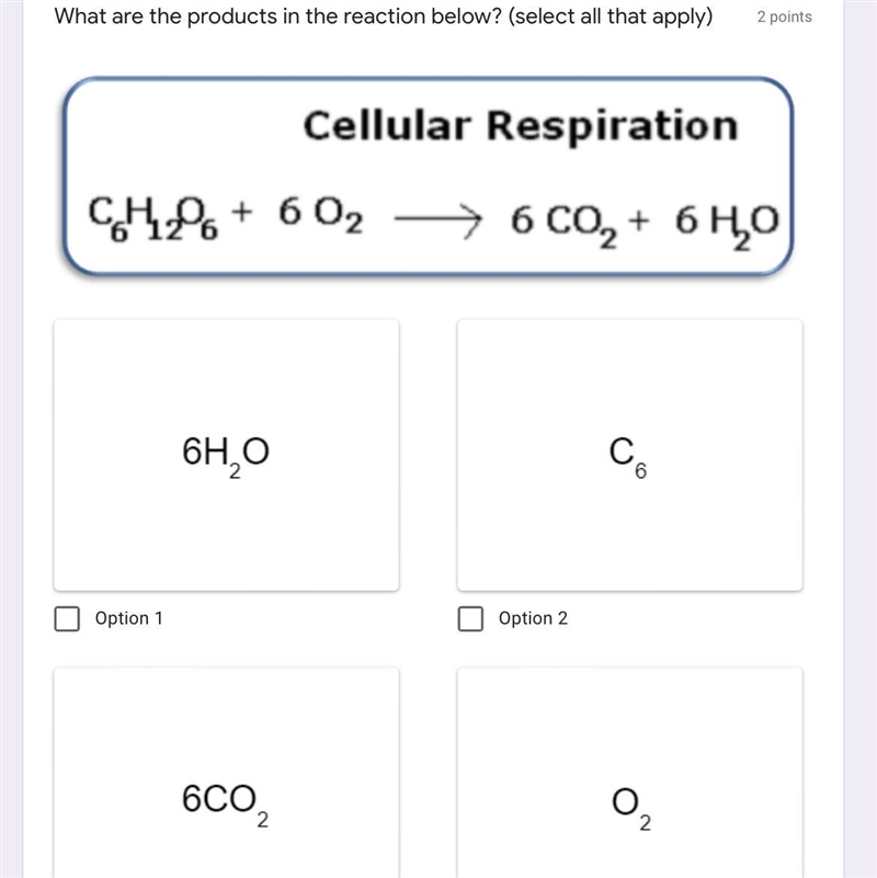 What are the products in the reaction below? (select all that apply)-example-1