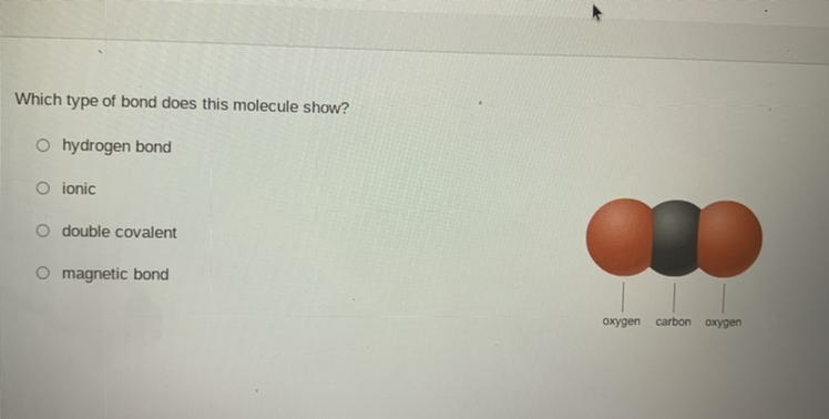 Which type of bond does this molecule show? A. hydrogen bond B. ionic C. Double covalent-example-1