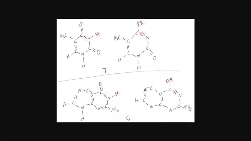 What could cause an error DNA in replication-example-1