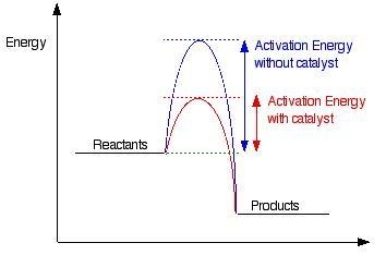 3) Explain the working principle of catalyst for both rate of reaction and equilibrium-example-1