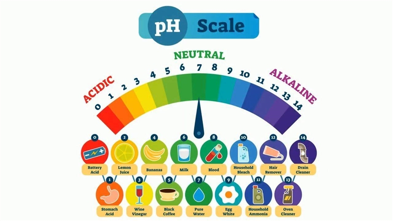 19. To treat indigestion, people take an antacid tablet. If you tested the pH of an-example-1