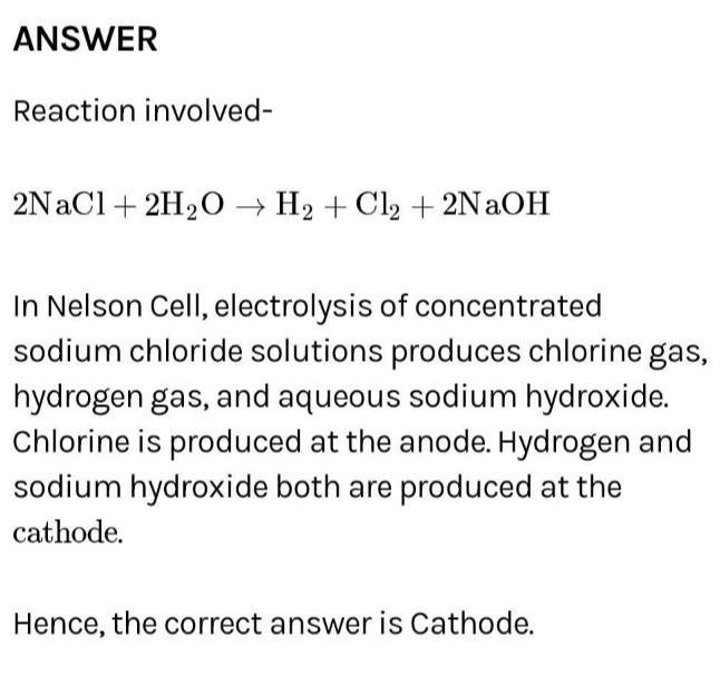 What chemical reactions occur in a Nelson's cell? ​-example-1