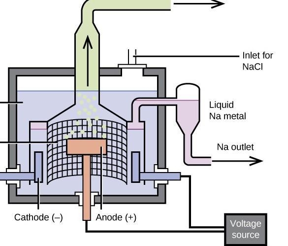 Diagram of Down's cell​-example-1