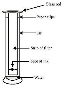 How will you use simple filter paper to demonstrate chromatography. Show with diagram-example-1