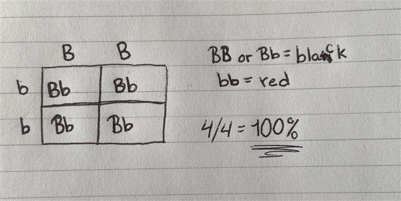 Pleaseee help me with this-example-1