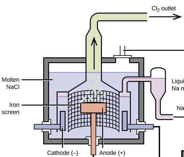 Diagram of Down's cell​-example-2