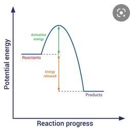 Which statement is true about the potential energy diagram for an exothermic reaction-example-1