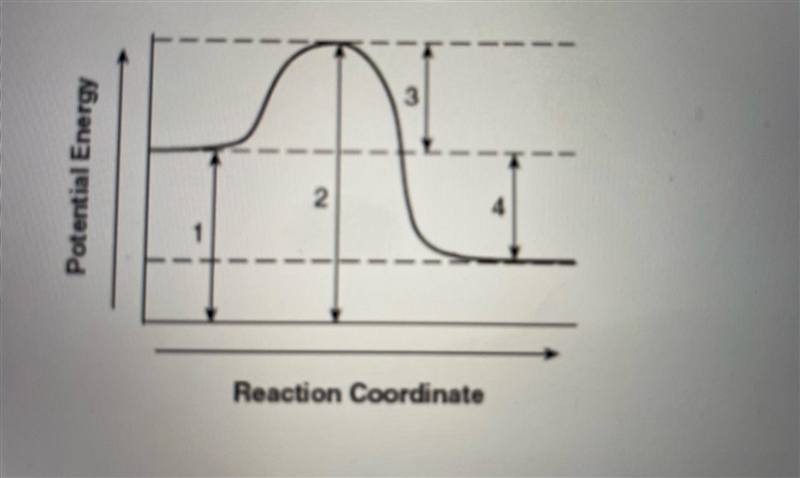 Which of the following represents enthalpy on this graph? Question 1 options: 1 2 3 4-example-1