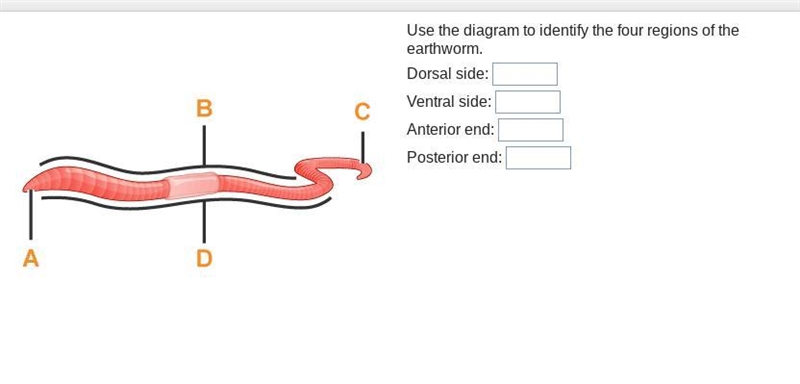 I need help pleaseeeeeeee-example-1