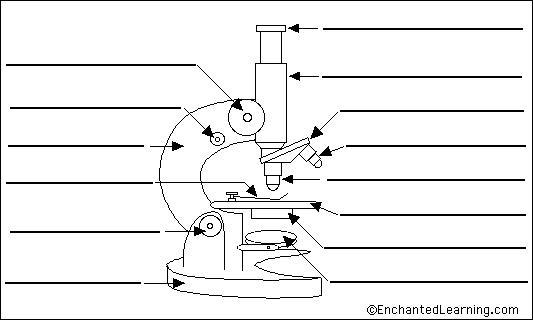 Really need help with this-example-1