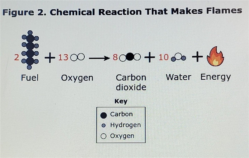 Based on Figure 2, which statement best describes what happens to the amount of matter-example-1