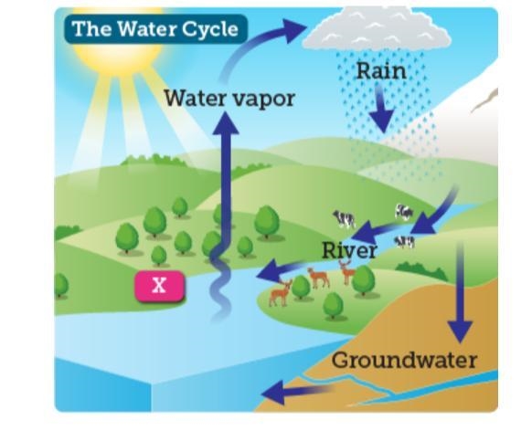 the diagram shows a model of a water cycle which word best summarizes the process-example-1