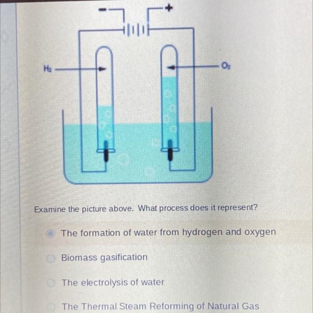 Examine the picture above. What process does it represent?-example-1