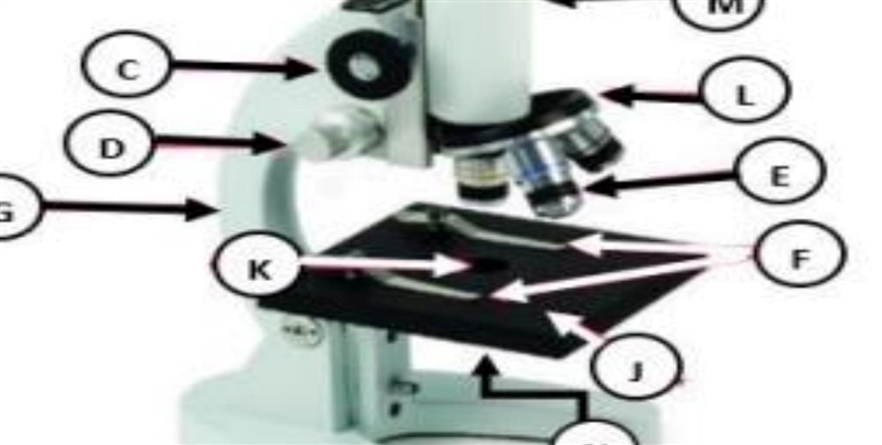 What part of the microscope is the letter k?-example-1