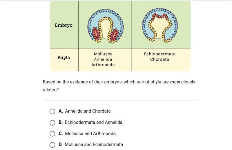 I NEED HELP ON THIS WORTH 20 POINTS :)-example-1