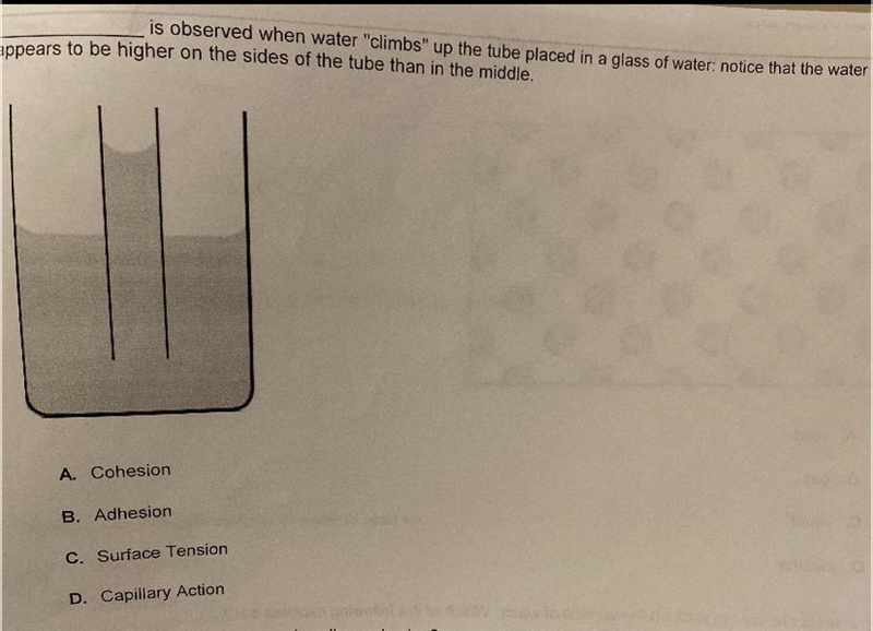 Is observed when water "climbs" up the tube placed in a glass of water. notice-example-1