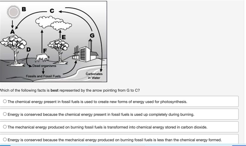 100 points PLS HURRY ASAP (SCIENCE)-example-1