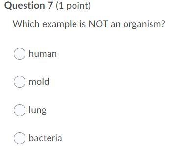 Need answer asap Which example is NOT an organism human mold lung bacteria-example-1