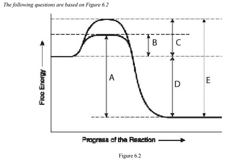 4. Which of the following terms best describes the reaction?A) allostericB) exergonicC-example-1