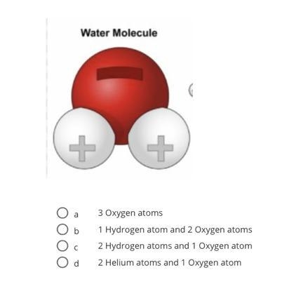 What is a water molecule composed of?-example-1