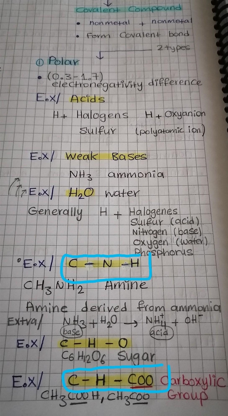 Are these structure form a week bases?​-example-1