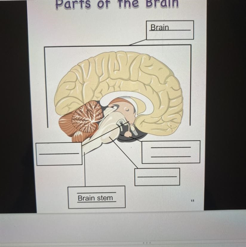 I need help and am I on the right track?-example-1