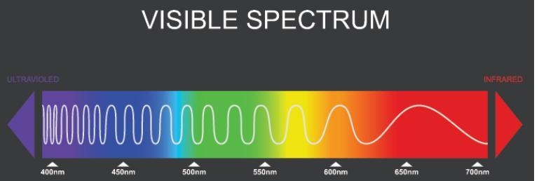 Which color has the shortest wavelength and the highest amount of energy? You may-example-1