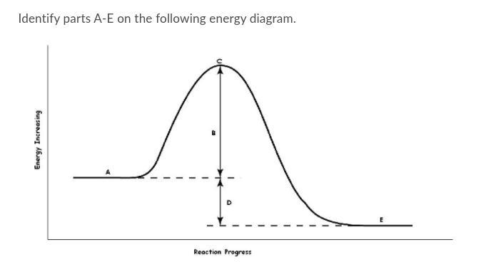 Identify parts A-E on the following energy diagram.-example-1