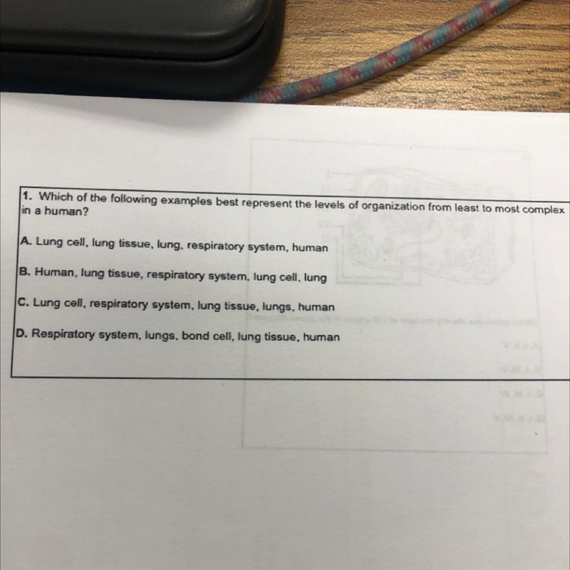 Which of the following examples best represent the levels of organization from least-example-1