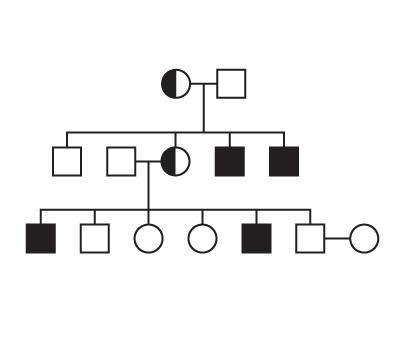 How many of the grandsons have the disorder? 1 2 3 4-example-1