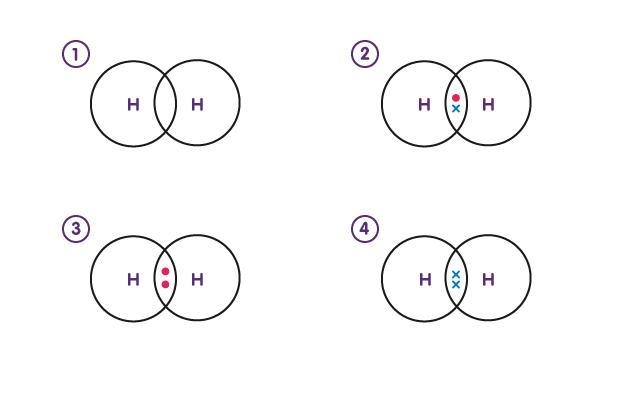 Look at the diagram. Which shows the correct arrangement of electrons in a hydrogen-example-1