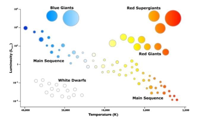 Below is the Hertzsprung-Russell Diagram. According to the diagram which type of star-example-1