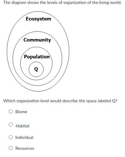 What does this diagram show and what order is it in?-example-1